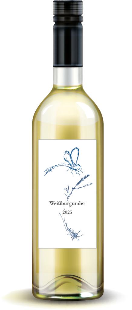 Flasche WB 2025 437x1024