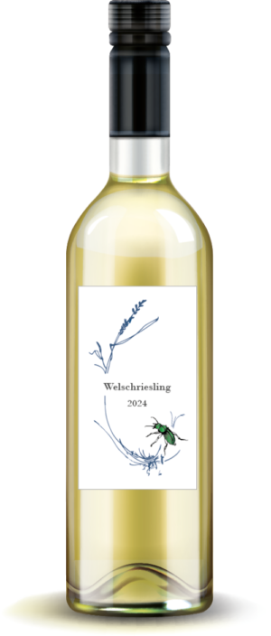 weißburgunder 2024
