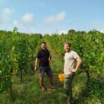 Weinlese 2025 img 20250913 wa0007