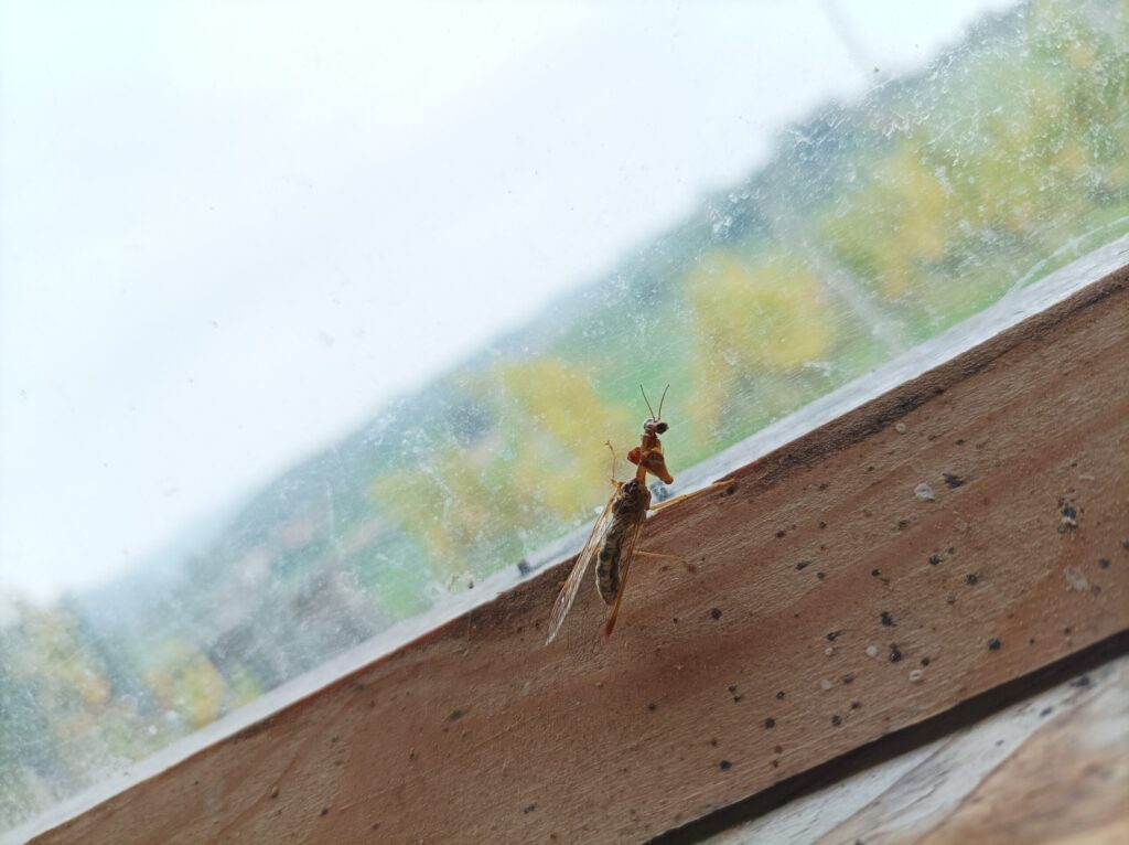 img 20221015 132515 scaled.jpg