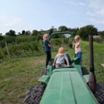 Weinlese 2025 pxl 20250913 105631739.mp