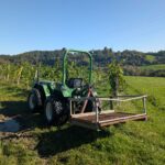 Weinlese 2025 pxl 20250921 075537900.mp