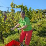 Weinlese 2025 pxl 20250921 080621935.mp