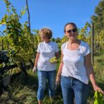 Weinlese 2025 pxl 20250921 083658174.mp