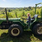 Weinlese 2025 pxl 20250921 090835085